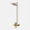 Art 101 Wall Shower Super Gold