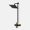 Art 401 Wall Shower Novia Black