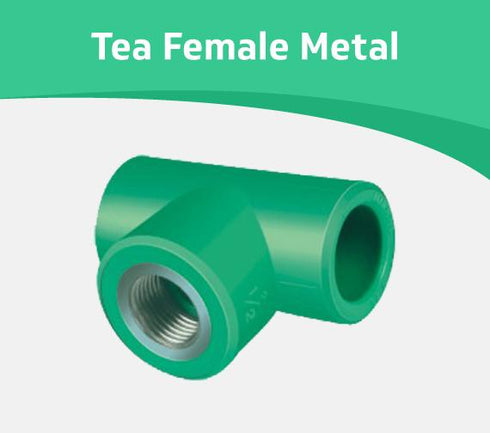 Tea Female Metal
