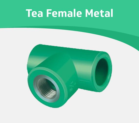 Tea Female Metal
